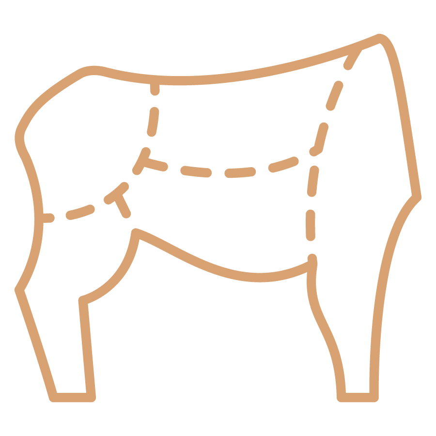 Icon-6.png